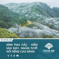 DU LỊCH CRYSTAL BAY 7