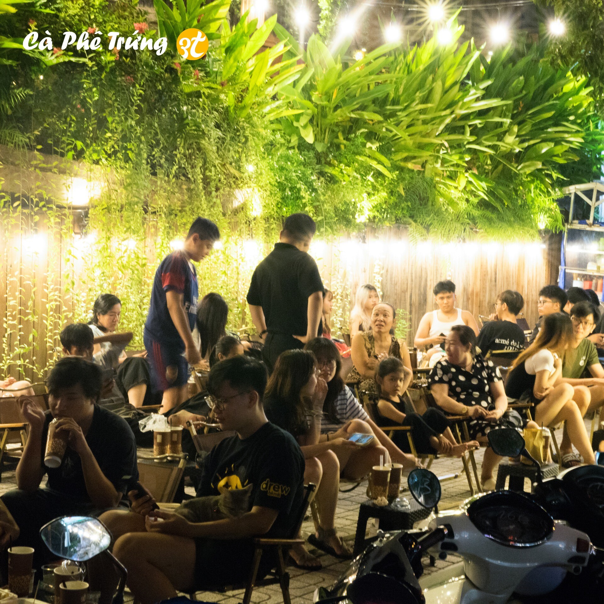 CÀ PHÊ TRỨNG 3T 7