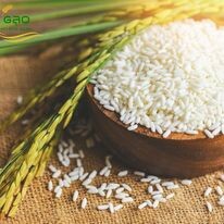 Xay Xát Hoàng Giao 9