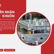 Hikari Việt Nam 10