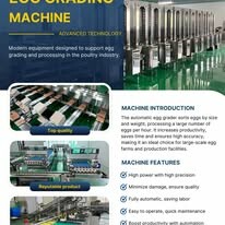 Công Ty TNHH BHN 12