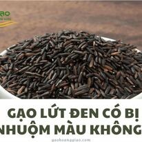 Xay Xát Hoàng Giao 11