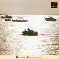 Khu nghỉ dưỡng WoCAL 11