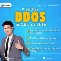 Công Nghệ Phần Mềm Gofiber 2