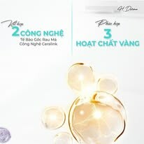 Dược Mỹ Phẩm H-Derma 2