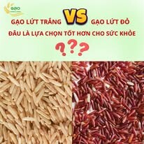 Xay Xát Hoàng Giao 10