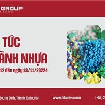 Hikari Việt Nam 12