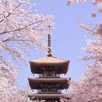 VGI Travel Hà Nội 5