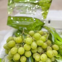 Thế Giới Nông Sản 2