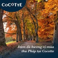 NHÀ HÀNG COCOTTE 15