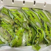 Thế Giới Nông Sản 3