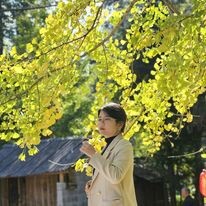 Du Lịch Hàng Ngày Việt - Viet Daily Tour 1