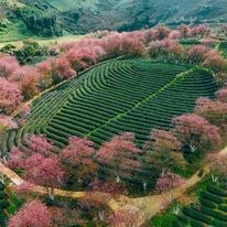 Du Lịch Hàng Ngày Việt - Viet Daily Tour 4