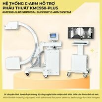 Y Học Việt Hàn (Vikomed) 6