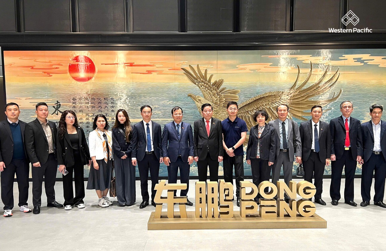 Western Pacific Group 10