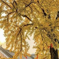 VGI Travel Hà Nội 2