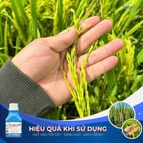 Saturn Chemical Việt Nam 4