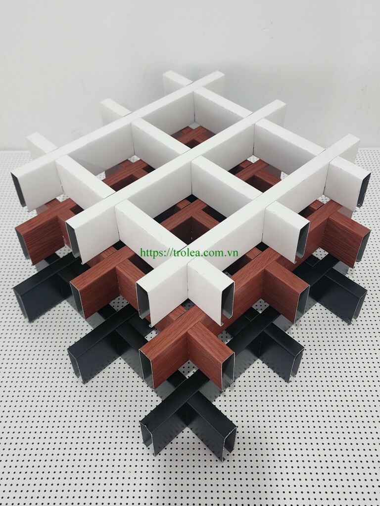 Trolea Việt Nam - TLA 10