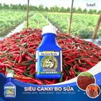 Saturn Chemical Việt Nam 5