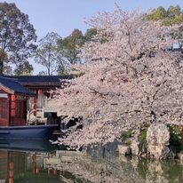 VGI Travel Hà Nội 7