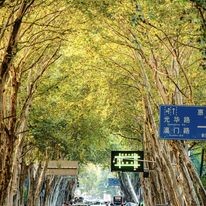 VGI Travel Hà Nội 9