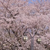 VGI Travel Hà Nội 6