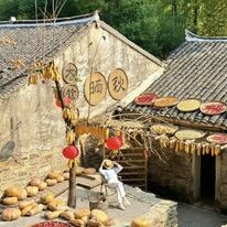 VGI Travel Hà Nội 11