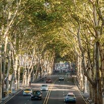 VGI Travel Hà Nội 8