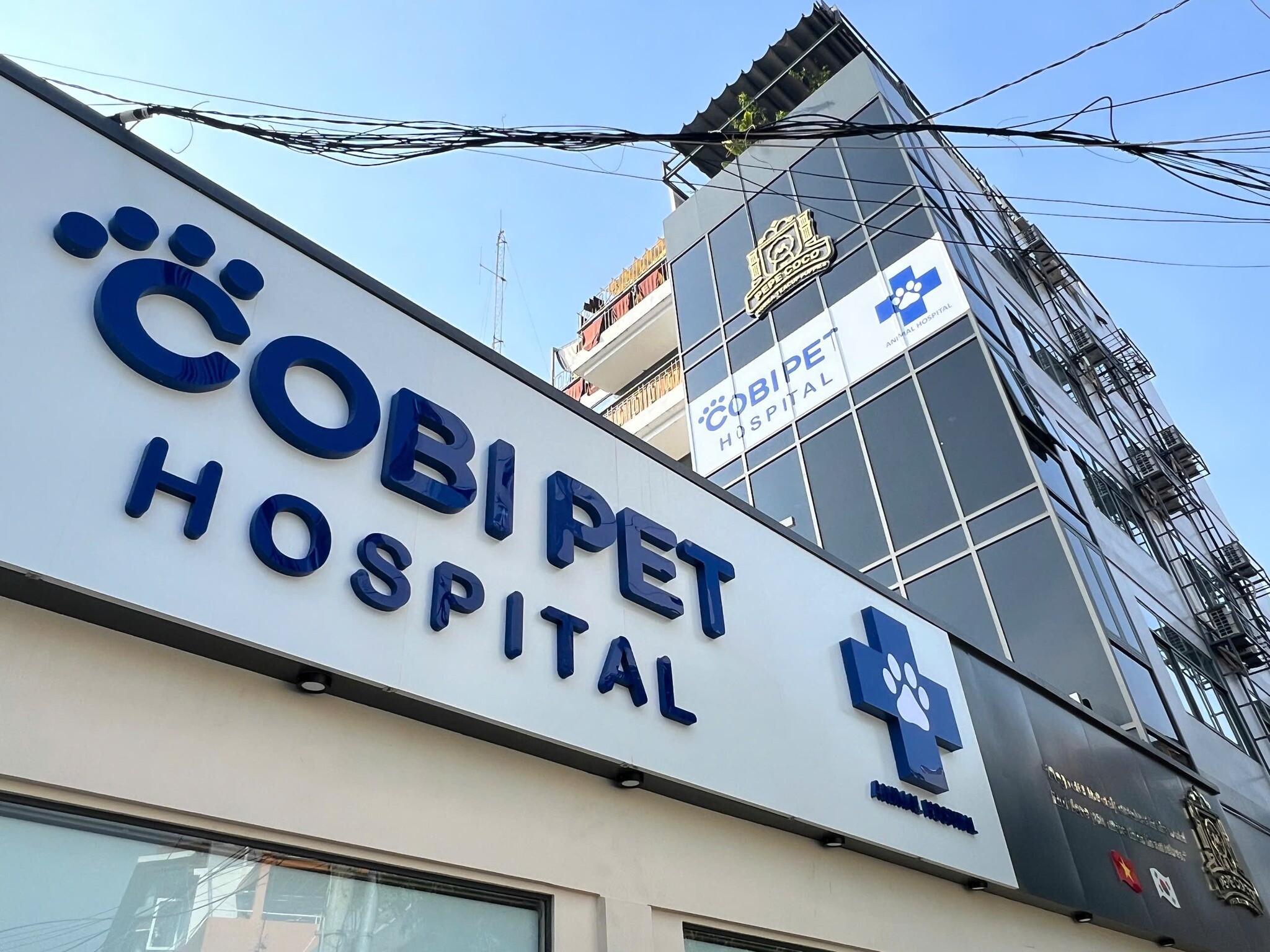 Cobi Pet Hospital 16