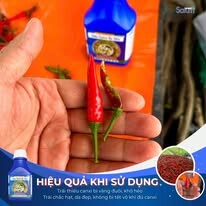 Saturn Chemical Việt Nam 7