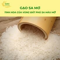 Xay Xát Hoàng Giao 13