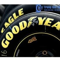 CÔNG TY TNHH THƯƠNG MẠI VÀ DỊCH VỤ BÍCH THƯ 12