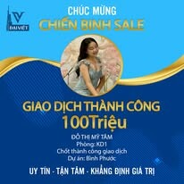 Địa Ốc Đại Việt 9
