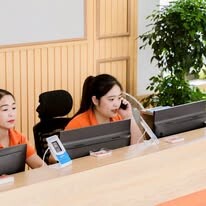 Du Lịch Hà Lan 10