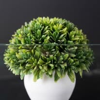 Sản xuất và Thương mại Hồng Phúc 13