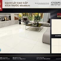 Kiến Trúc Xây Dựng Ong Vàng 4