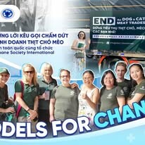 Bệnh Viện Thú Y Pet-Pro 1