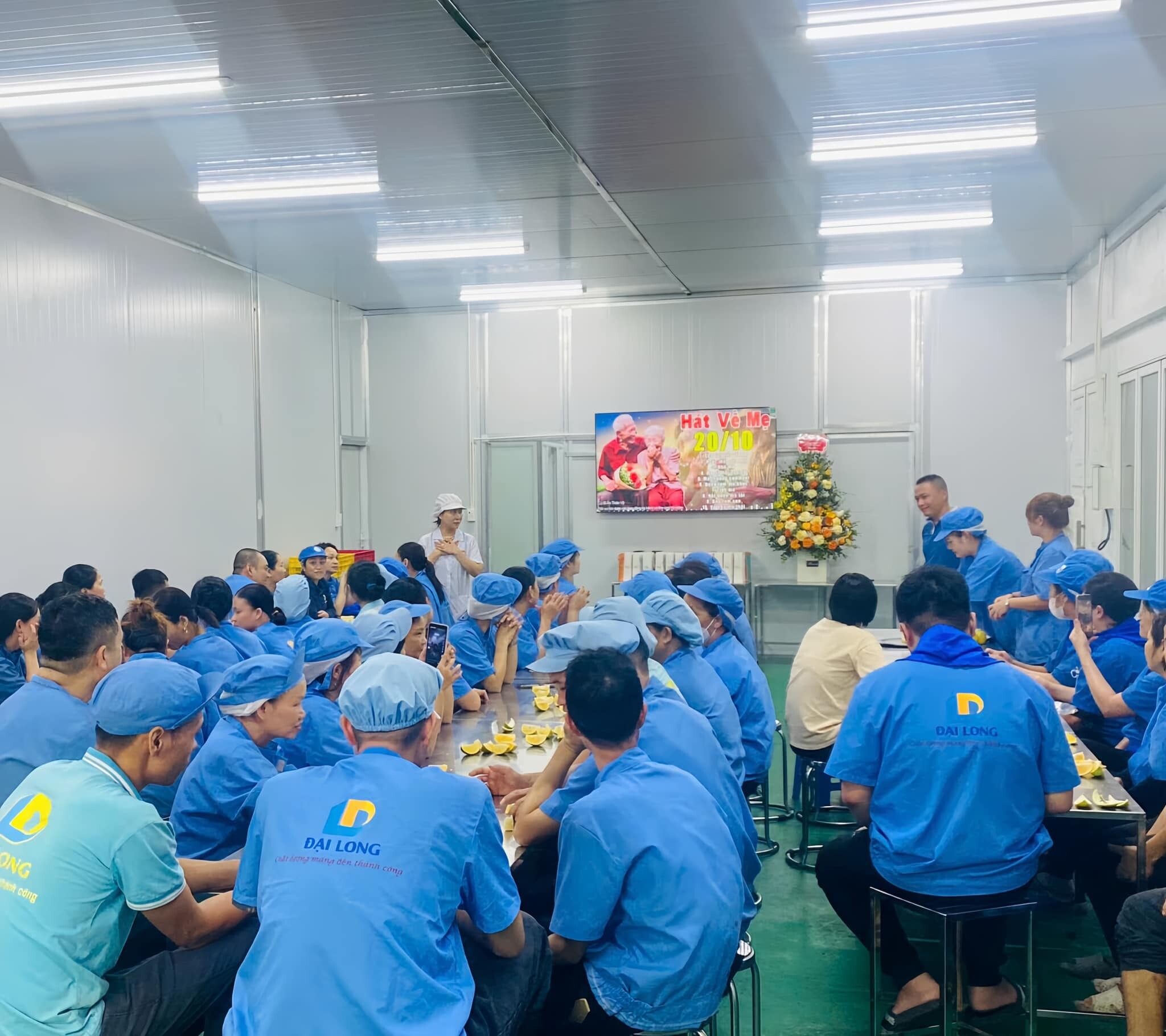 Xuất Nhập Đại Long 7