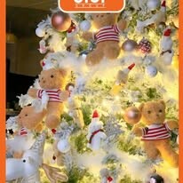 Xuất Nhập Khẩu CTCT Group 10