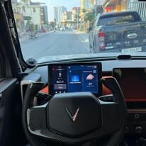 Chungauto Việt Nam 6