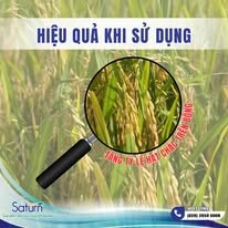 Saturn Chemical Việt Nam 9