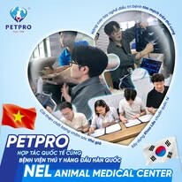Bệnh Viện Thú Y Pet-Pro 2