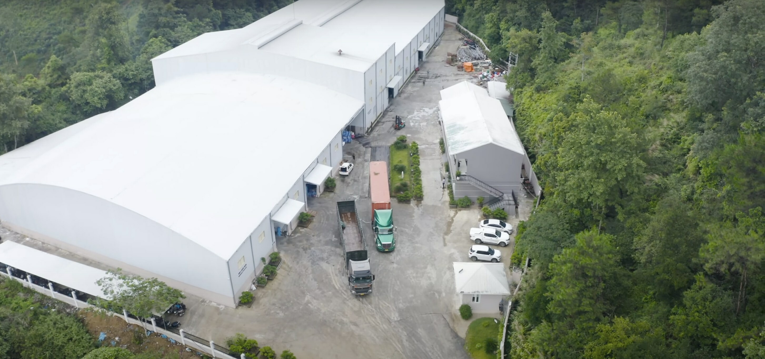 Bao Bì Green Life 11