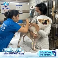 Bệnh Viện Thú Y Pet-Pro 3