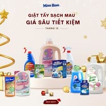 Mao Bảo Việt Nam 12