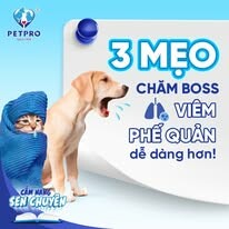 Bệnh Viện Thú Y Pet-Pro 13