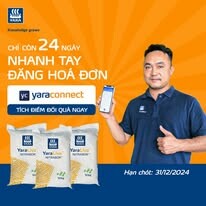 Yara Vietnam Ltd. 6