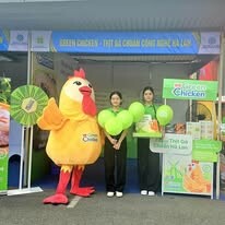 Green Chicken LLC 10