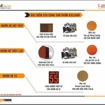 Eurohouse Việt Nam 9