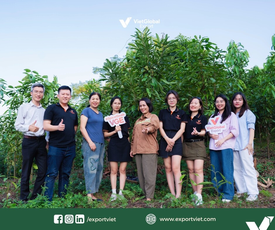 VietGlobal Export 5